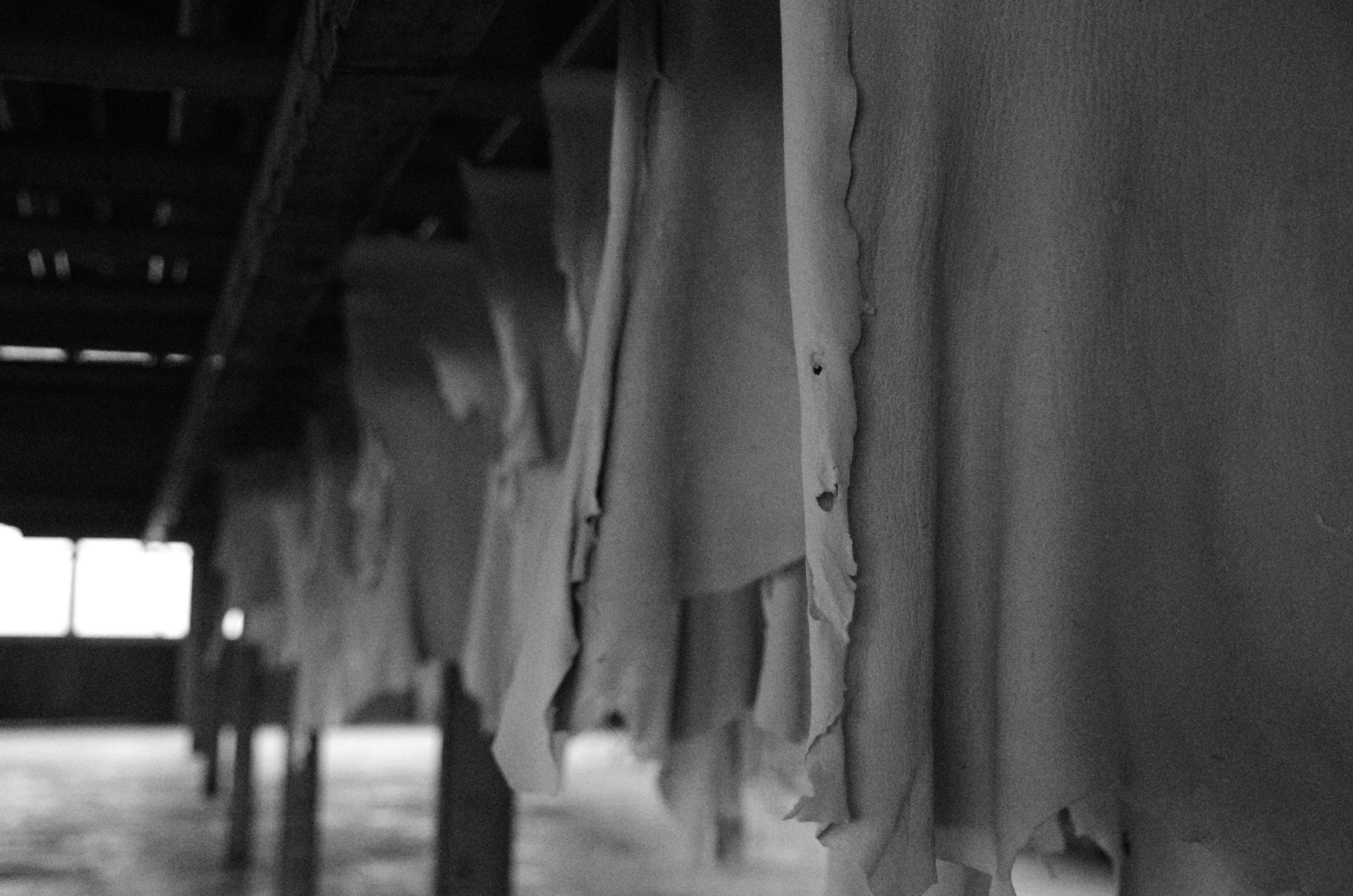 oasis　10Culture / ADAM ET ROPÉ