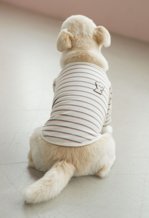 DOGマルチ ボーダーロンTee