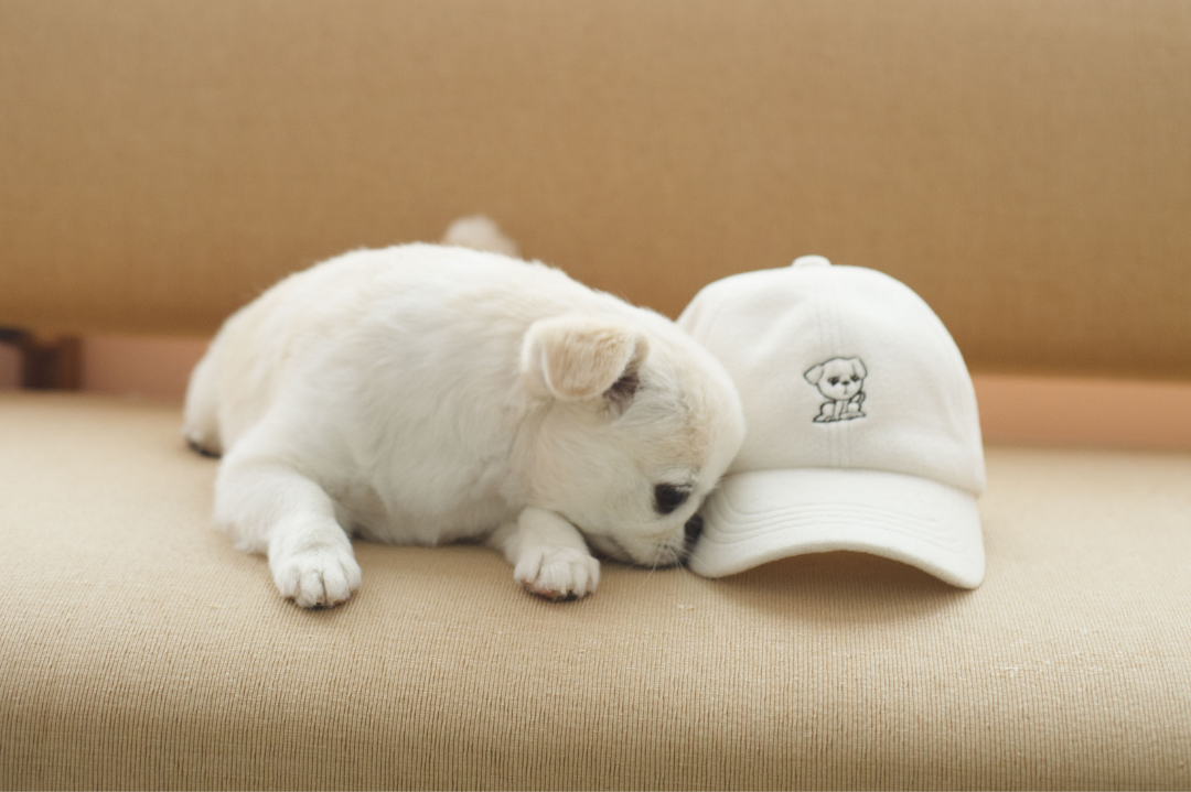 刺しゅうフリースキャップ