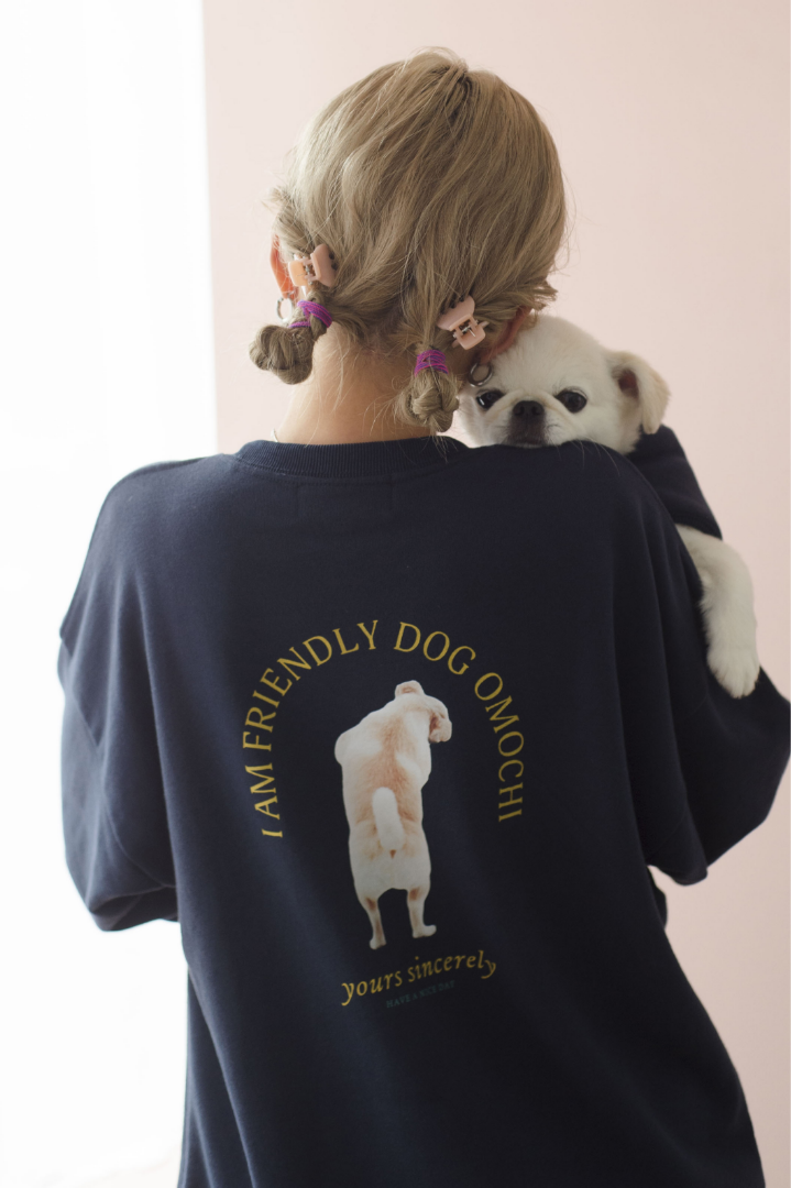 ビッグスウェットプルオーバー