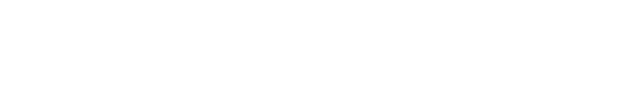 V.A.|STRANGER THINGS HOUSE