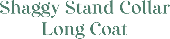 Shaggy Stand Collar Long Coat