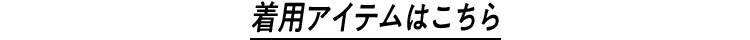 着用アイテムはこちら