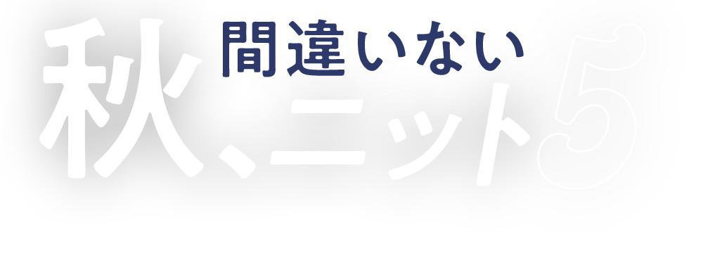 秋、間違いないニット5